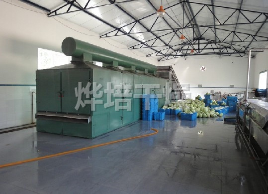 DWC系列脱水蔬菜带式干燥机