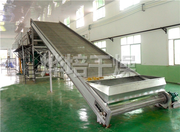 DWC系列脱水蔬菜带式干燥机